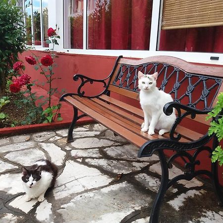 Semeli Hotel - Adults Only Roda  Bagian luar foto